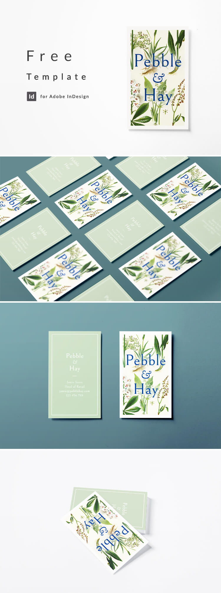 Vintage business card design with botanical illustration. Free download for Adobe InDesign CC.