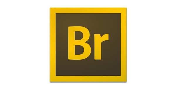 when should I use InDesign or photoshop or Illustrator adobe bridge