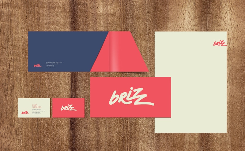 indesign inspiration flat design brand identity brizz