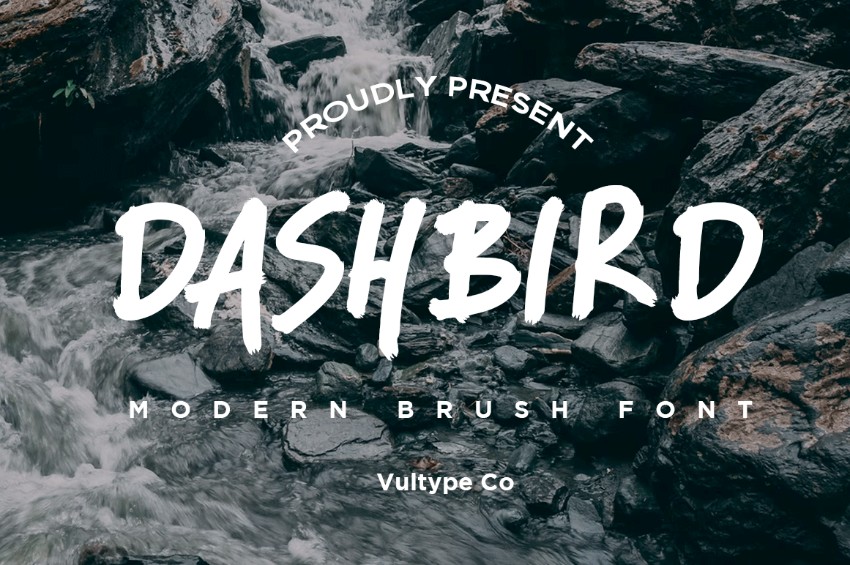 dashbird brush font best 2024 fonts font trends 2024 what are trendy fonts new fonts 2024 what is the best font 2024