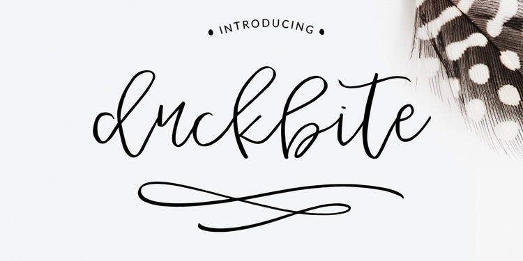 lettering hand-drawn modern calligraphic hand-lettered script fonts best free duckbite