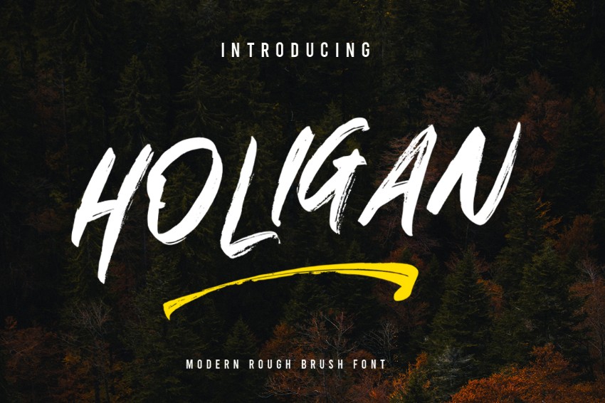 holigan brush font best 2024 fonts font trends 2024 what are trendy fonts new fonts 2024 what is the best font 2024